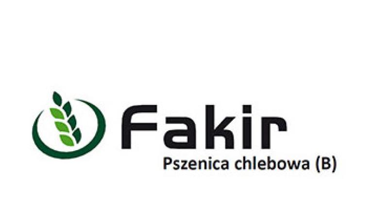 Pszenica chlebowa Fakir