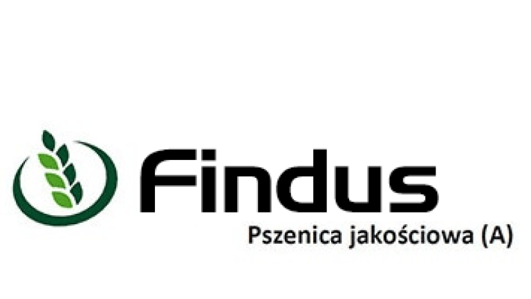 Pszenica jakościowa Findus