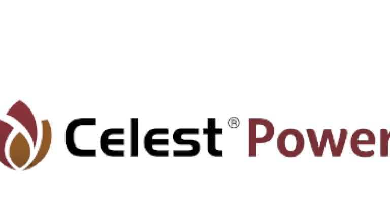 Zaprawa nasienna Celest Power