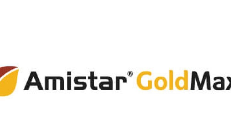 Fungicyd Amistar Gold Max