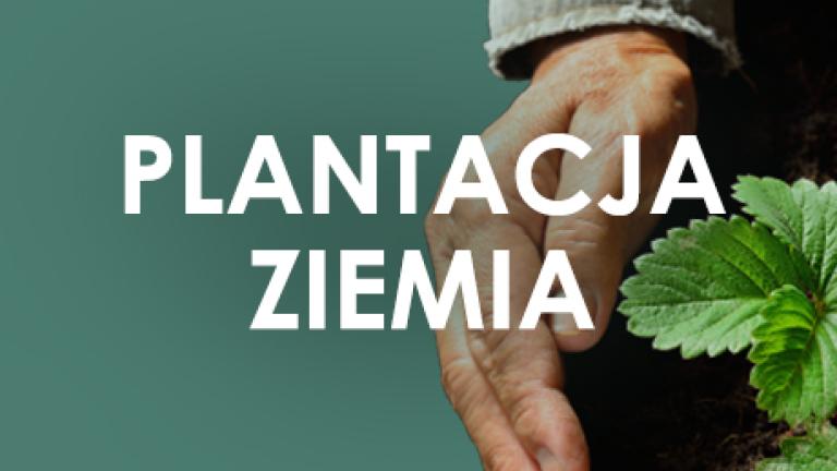 Plantacja Ziemia
