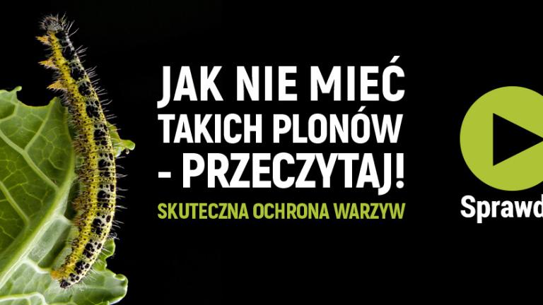skuteczna ochrona warzyw