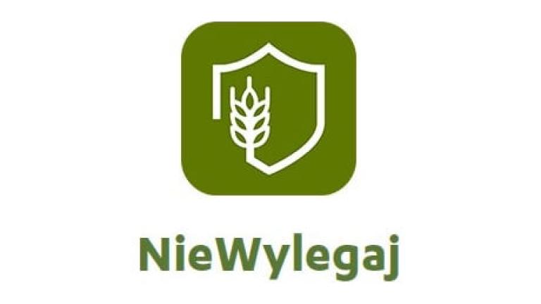 NieWylegaj - dowiedz się czy Twoje zboże jest podatne na wyleganie