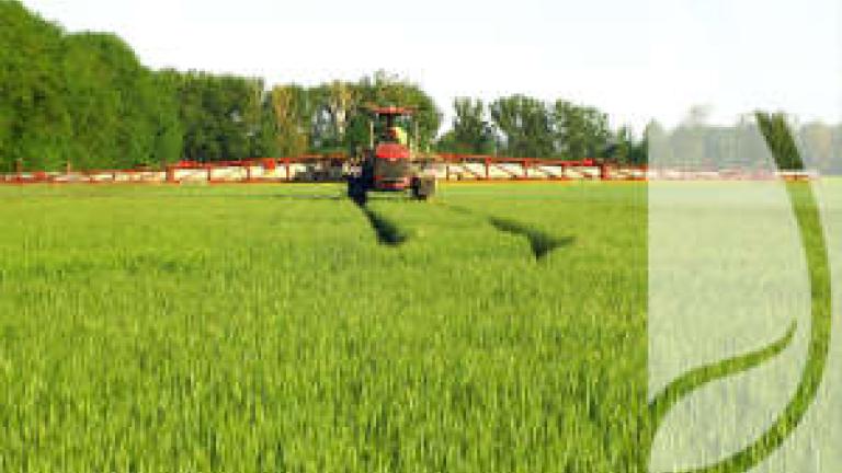 Oprysk na chwasty jednoliścienne – kiedy należy go wykonać?