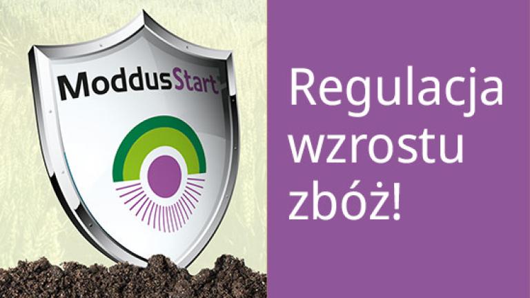 Stop wyleganiu - Regulator wzrostu Moddus Start