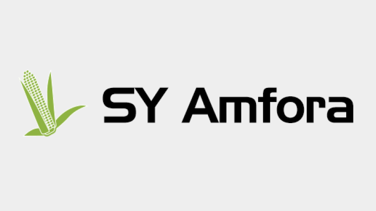 Kukurydza - SY Amfora