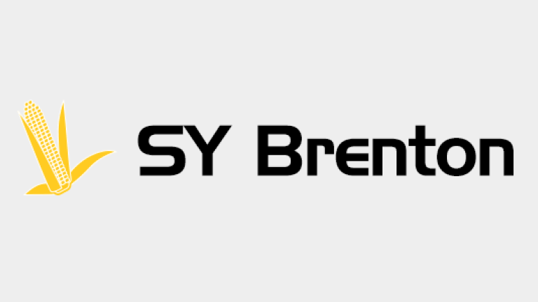 Kukurydza - SY Brenton