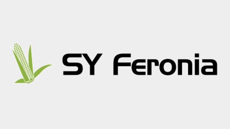 Kukurydza - SY Feronia