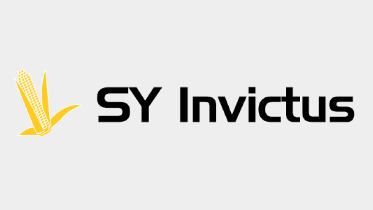 Kukurydza - SY Invictus