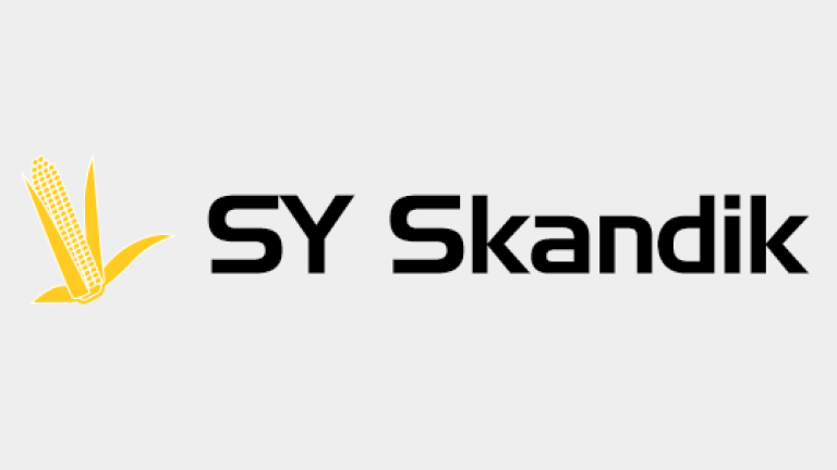 Kukurydza - SY Skandik