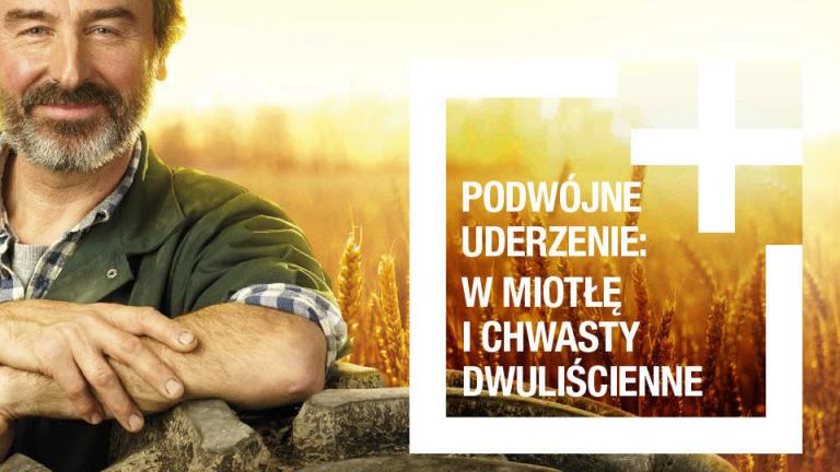 Zwalczanie chwastów - Avoxa