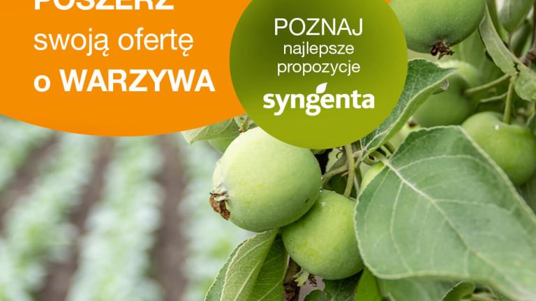 Uprawa warzyw – odmiany warte uwagi!