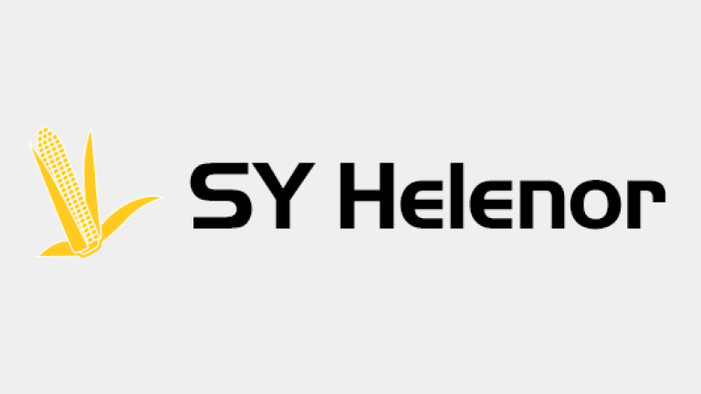 Kukurydza - SY Helenor