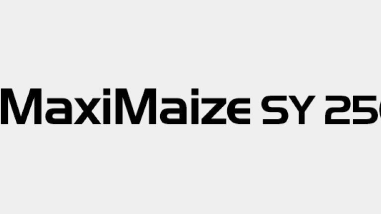 MaxiMaize SY 250 E
