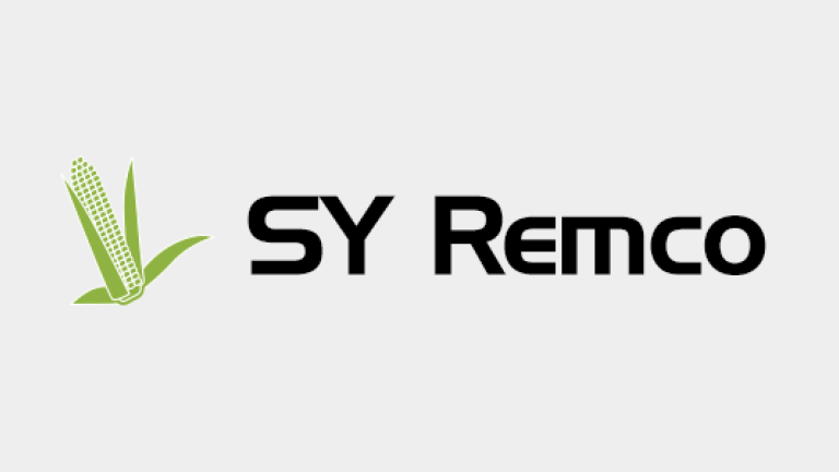Kukurydza - SY Remco