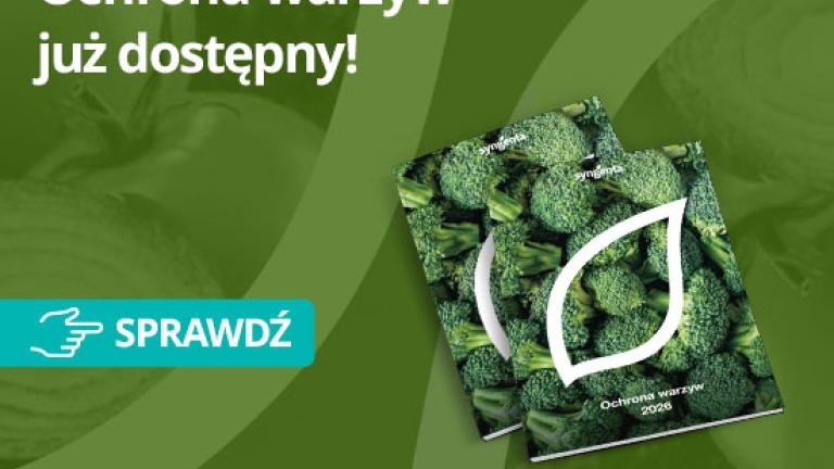 Materiały informacyjne - ochrona warzyw 2026