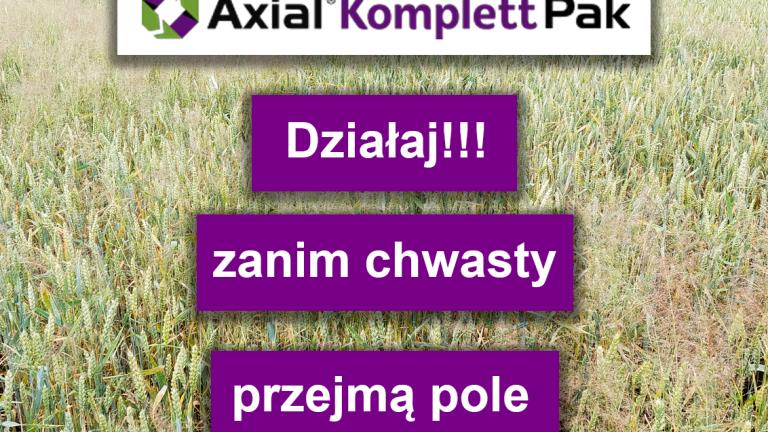 Działaj, zanim chwasty przejmą pole