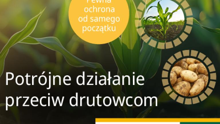 Nowość w zwalczaniu drutowców