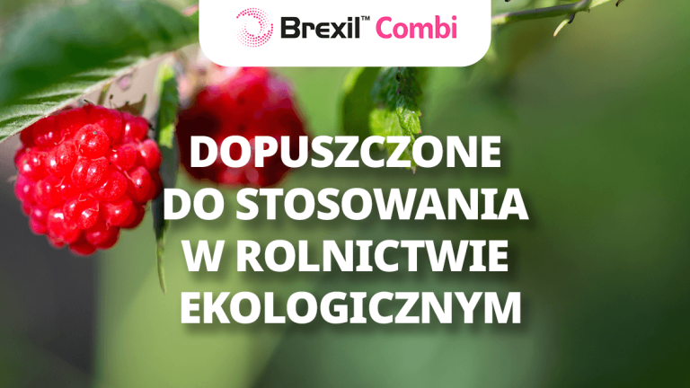 Grafika z maliną i napisem: „Dopuszczone do stosowania w rolnictwie ekologicznym”