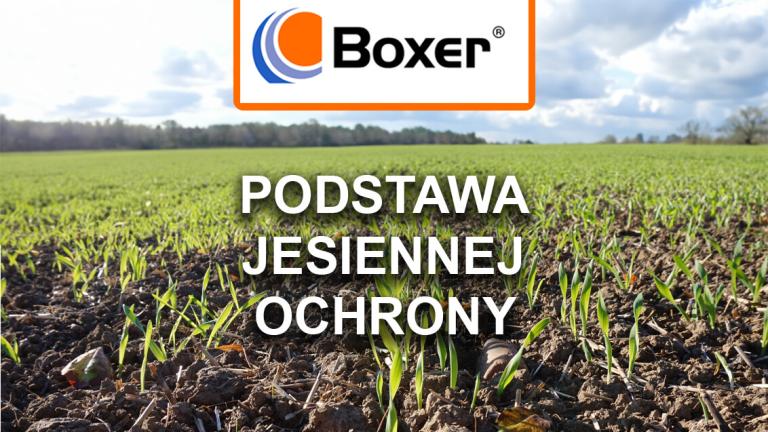 Grafika: pole uprawne i logo Boxer, napis „Podstawa jesiennej ochrony”