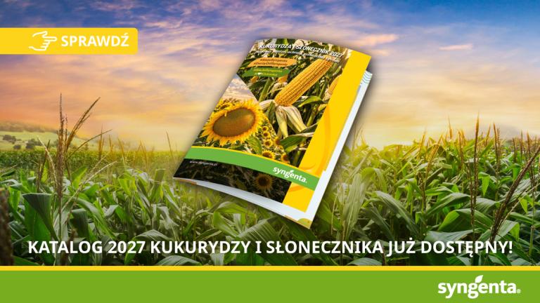 Baner Syngenta: katalog 2027 kukurydzy i słonecznika na tle pola o zachodzie słońca