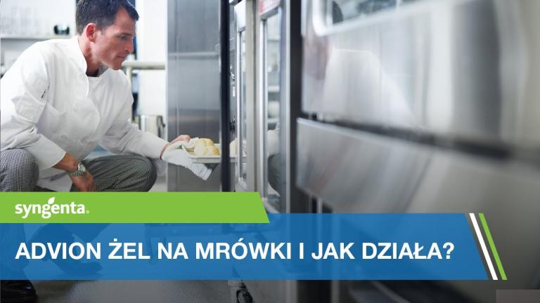 Advion żel na mrówki I jak działa?