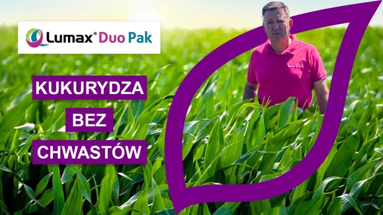 Lustracja polowa. Pole po Lumax Duo Pak.