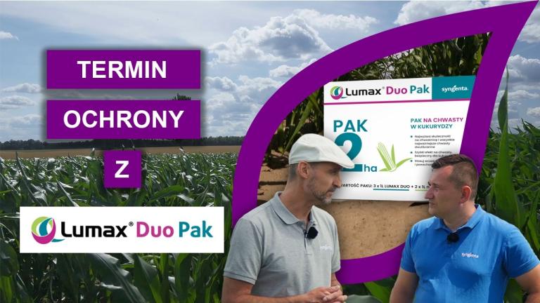 Lumax Duo Pak - Kompleksowa ochrona kukurydzy
