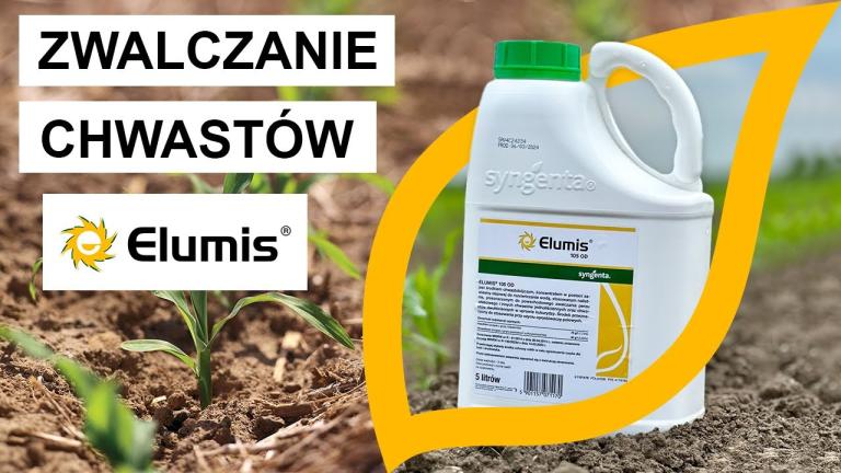 Zwalczanie chwastów w kukurydzy z Elumis