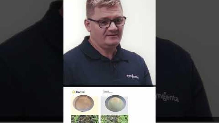 Elumis – Skuteczna ochrona kukurydzy w każdym sezonie | Syngenta