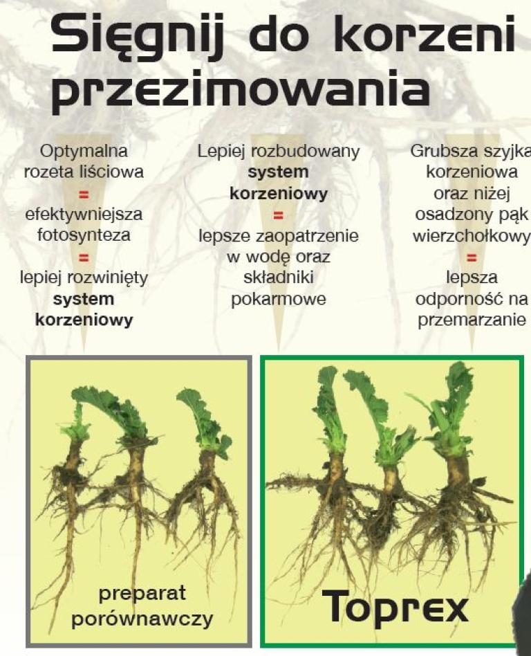 Akcja promocyjna „Saperka Toprex”