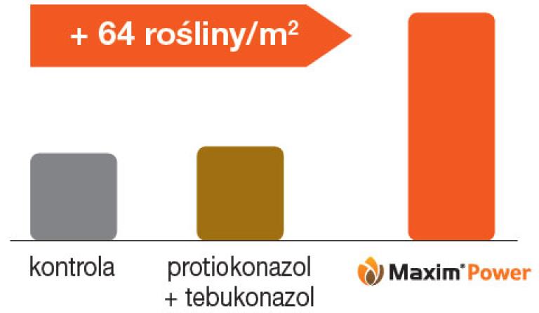 Zaprawa nasienna Maxim Power - moc zakorzeniania
