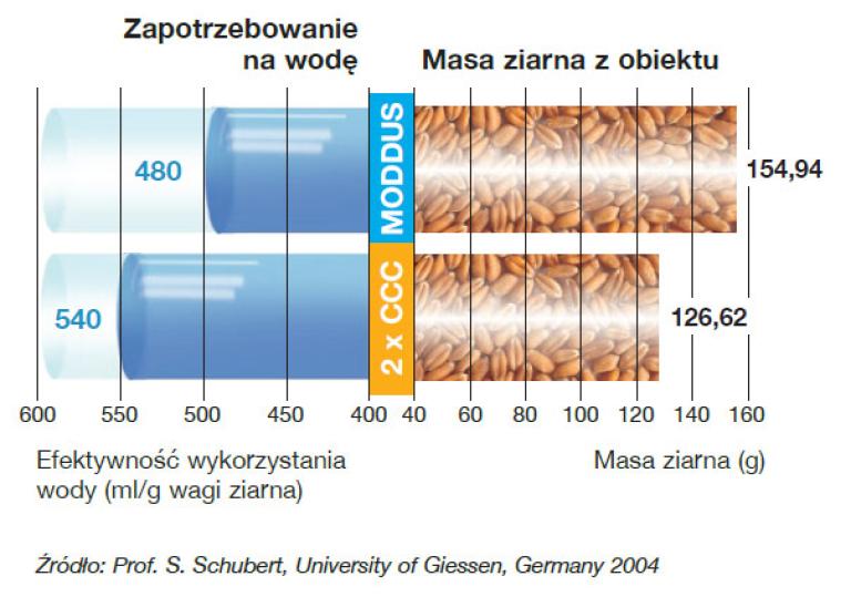 Regulator wzrostu Moddus 250 SC - wielkość i siła systemu korzeniowego