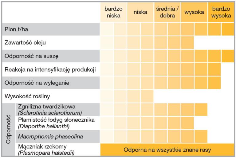 Słonecznik Suomi HTS - charakterystyka
