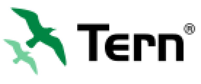 Tern