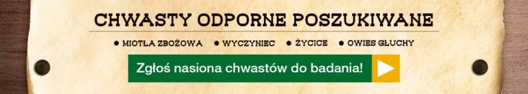 Chwasty odporne poszukiwane