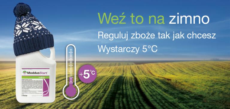 Moddus Start - weź to na zimno