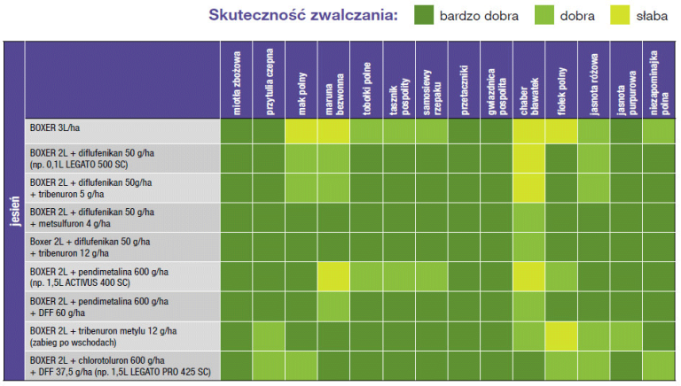 BOXER w mieszaninach - skuteczność zwalczania