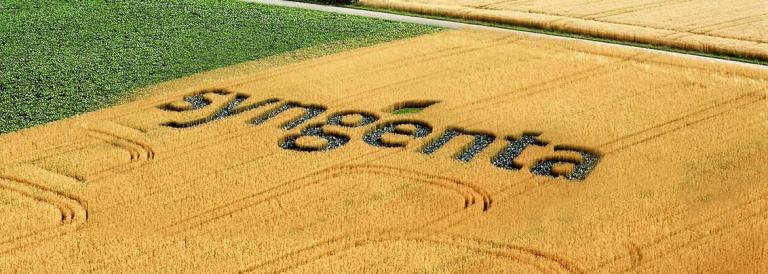 Produkty Syngenta