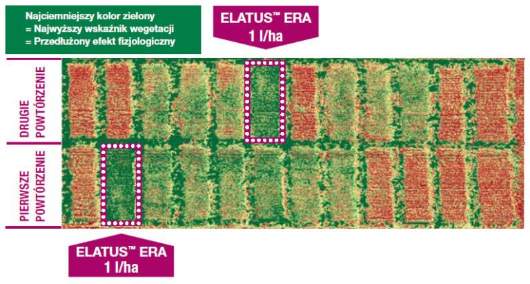 Elatus™ Era - z lotu ptaka