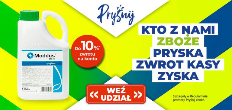Moddus - Pryśnij 2025