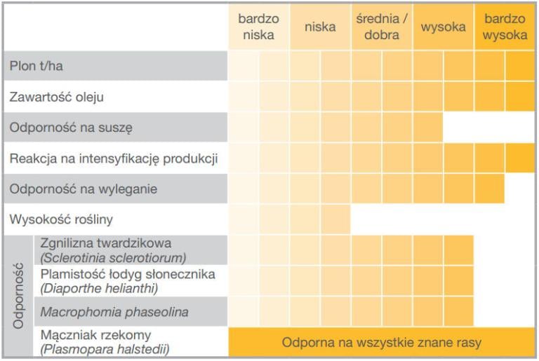 Słonecznik Surest HTS - charakterystyka