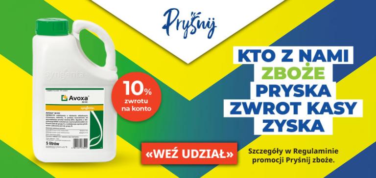 Avoxa - Pryśnij