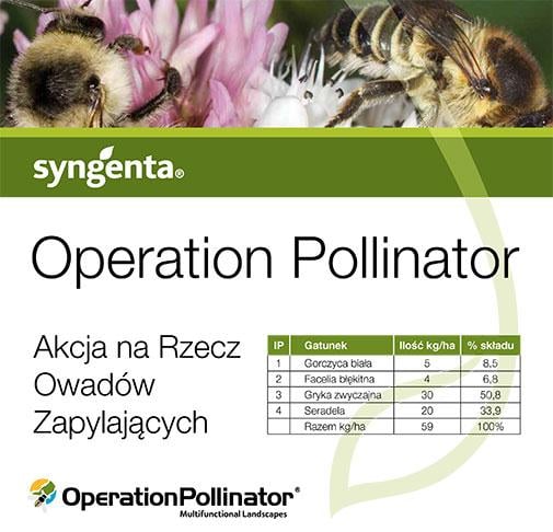 Syngenta tworzy siedliska z pożywieniem dla pszczół