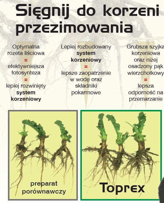 Akcja promocyjna „Saperka Toprex”