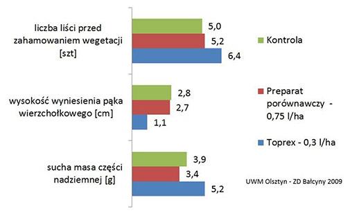 Niepokojące wieści o porażeniu rzepaku suchą zgnilizną kapustnych.