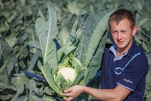 Imponująca kolekcja odmian na spotkaniach warzywnych Syngenta
