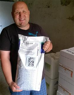 Plonowanie rzepaku w 2015 roku