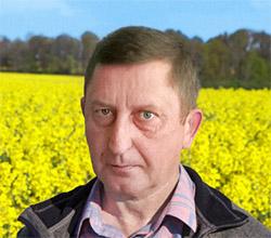 Plonowanie rzepaku w 2015 roku