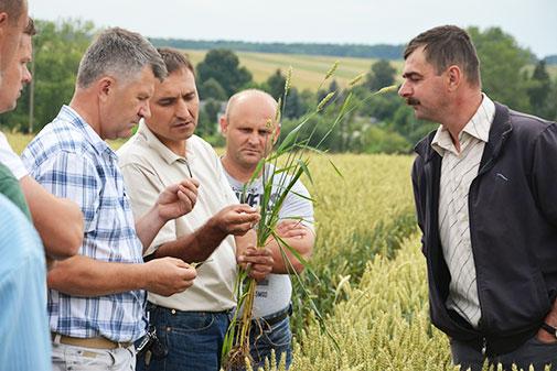 Siła dobrego słowa i relacji – dyskusje o programach ochrony Syngenta na spotkaniach klubowych Agrolider.